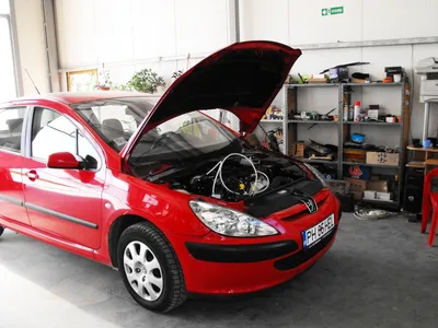 reparatii marca Citroen Peugeot 3